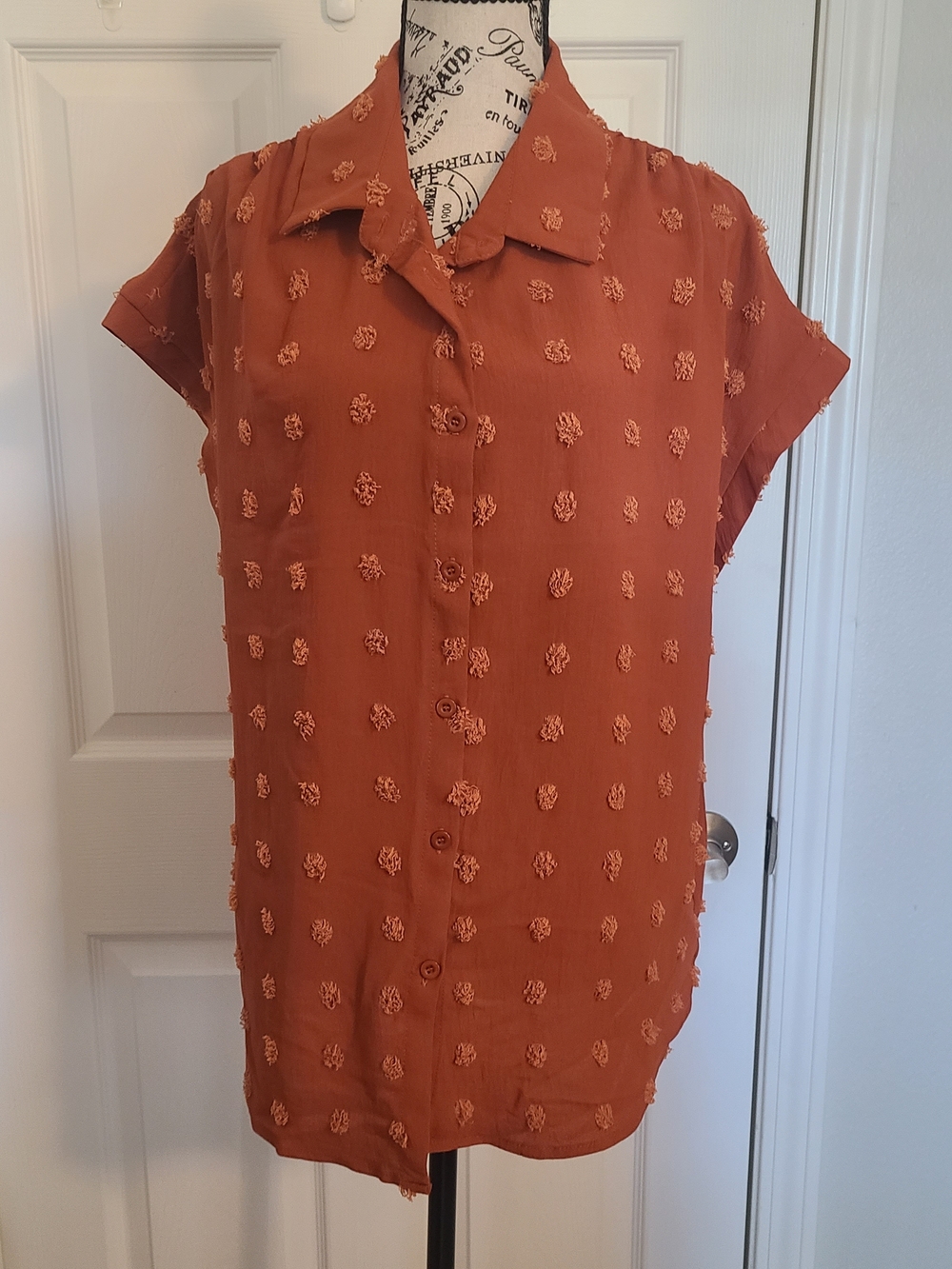 Women's Rust Button-Front Textured Short-Sleeve Top